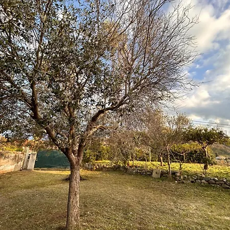 Zefiro Retreat Zambrone *